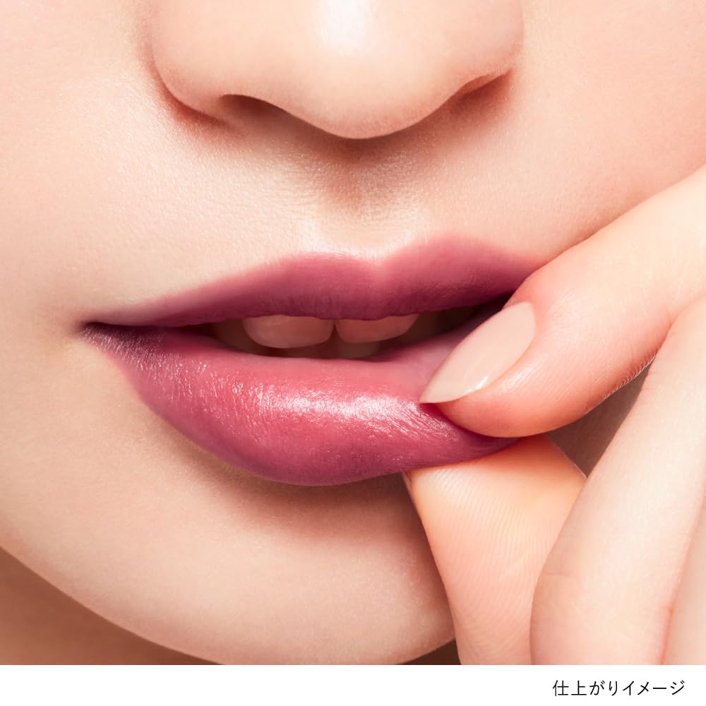 KANEBO Rouge Star Breeze EX6 Roasted Fig [Lipstick]