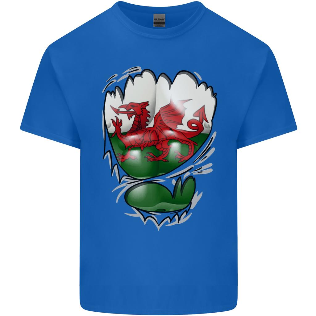 Gym The Welsh Flag Ripped Muscles Wales Unisexs Light Cotton TShirt