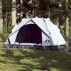 VidaXL 2-Person Dome Camping Tent Quick Release 4004192