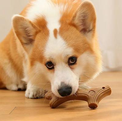 Kimpets Pet Cat Molar Teeth Clean Stick For Bite Resistant Pet Dog Chew Toys Interesting Pine Wood Cute Bone Shape Durable Toy