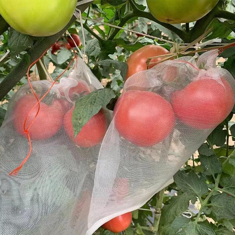 

Nylon Mesh Net Bag: Insect-Proof, Breathable, for Fruits & Vegetables 15x10; Thickness 54