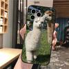 Alpaca Llamas Phone Case For iphone 17 Pro Max Air 16 15 14 13 Pro Max 15 16 Pro 15Plus
