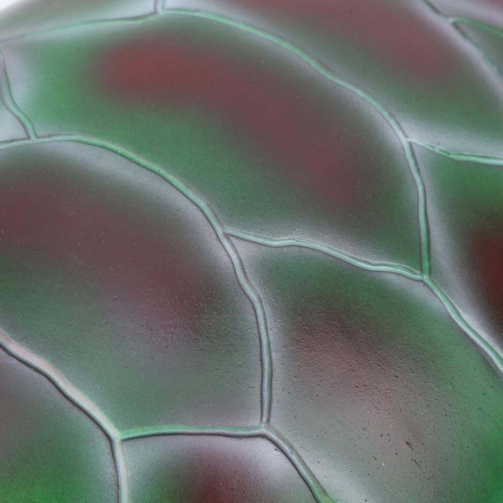 Simulation Animal Model Soft Sea Life Animals