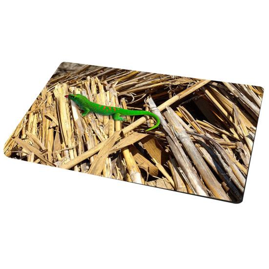 

Коврик для пола 3D Ковер с оптической иллюзией с реалистичным эффектом отверстия Печать высокого разрешения Нескользящий Мягкий 50*80cm