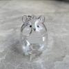 Pet Shaped Hamster Hair Storage Hair Container Pet Hair Memorial Keyring  Backpack