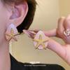 European and American silver needles dripping oil starfish water drop earrings vacation style temperament earrings light luxury high-end earrings