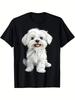 Maltese Dog T-Shirt Suitable for Men ; Women - Cute Maltese Puppy with Expressive Eyes. Soft Round Neck Casual Summer Shirt. Random Maltese Puppy Prin