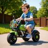 Kids' Electric Tricycle: Rechargeable Remote-Controlled Ride-On for Boys & Girls