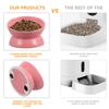 Ceramic Raised Cat Food Bowl Elevated Feeding Slanted Design Protects Neck Prevents Vomiting Easy Clean Dishwasher Safe Pet