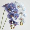 Artificial Phalaenopsis Orchid Flowers Wedding Decorative Phalaenopsis Realistic Orchid Long Stems 9 Heads Home Indoor Decor