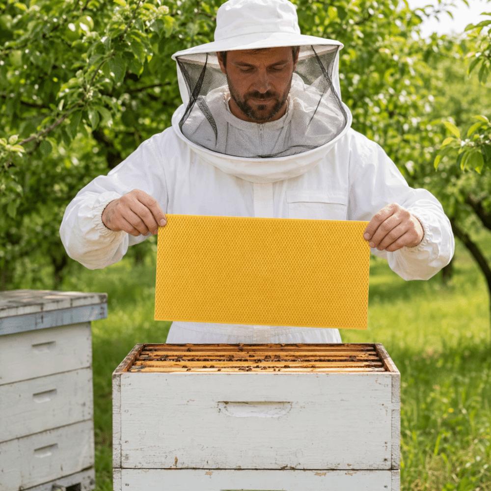 Black Color Beekeeping Frame Non-Toxic Beekeeping Tool Durable Beehive Frame Beekeeper Use