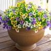 12 Pcs Artificial Pansy Flowers Outdoor UV Resistant Faux Silk Flowers Colorful Faux Pansies for Planter Window Box Front Porch Yard Patio Decor
