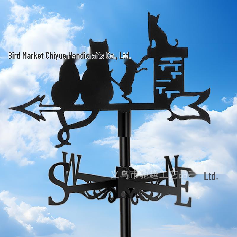 Weather Vane Ornament: Outdoor Wrought Iron Spray-Painted Roof Decoration Metal Craft