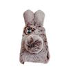 Für iPhone 17 Hülle Plüsch Niedlicher Hase Winter Flauschig TPU Handyhülle