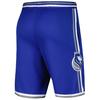 Nike Swingman NBA Sacramento Kings 2023/24 City Edition Fashion Mid-Rise Basketball Shorts Men shorts DX8718-495
