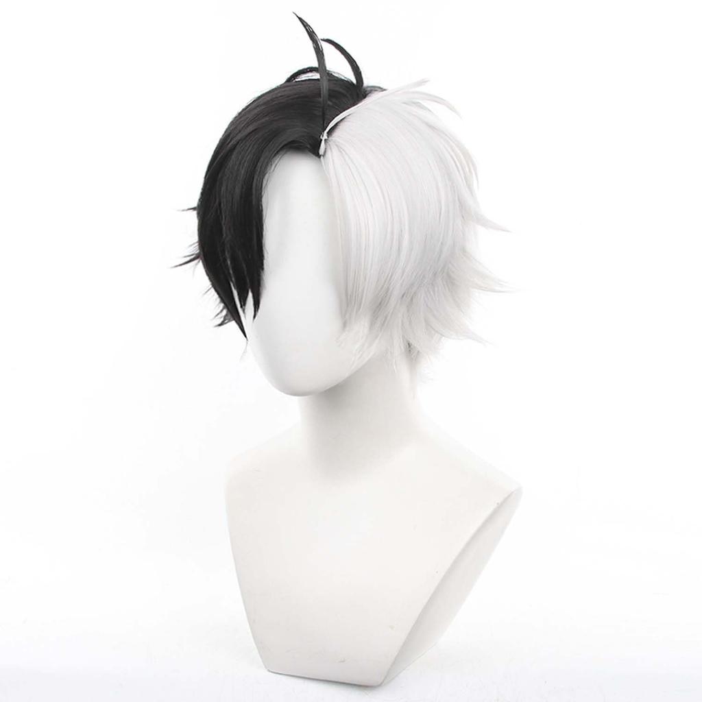 Black and White Short Full Anime Character with Perfect for Comic Market School Cultural and Stage Performances Wig, Cosplay, Heat-Resistant, Net,