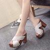 Elegant Suede Women's Sandals With Wedge Heels And High Platform Open Toe Design