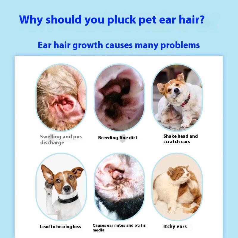 Daoliqi Haustier Ohrpuder - 26g Sanftes Trocknungspuder für sichere Ohrhaarentfernung und Ohrenreinigung bei Hunden und Katzen