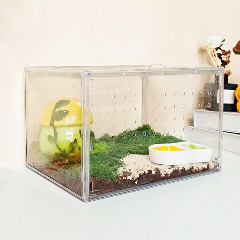 Acrylic Transparent Hermit Crab Terrarium With Escape-Proof Design Coconut Fiber Substrate Setup Reptiles Geckos