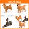 Große Realistische Haustierhunde-Modelle Niedlicher Shiba Inu Golden Retriever Und Dobermann Tischdekoration Spielzeug