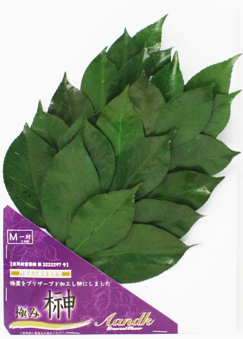 

[A&K] Sakaki Tree, Kiwami Medium, Made with Natural Japanese Sakaki Leaves, Heat-Resistant, Won t Rot, No Replacement Required, Hassle-Free, No Water