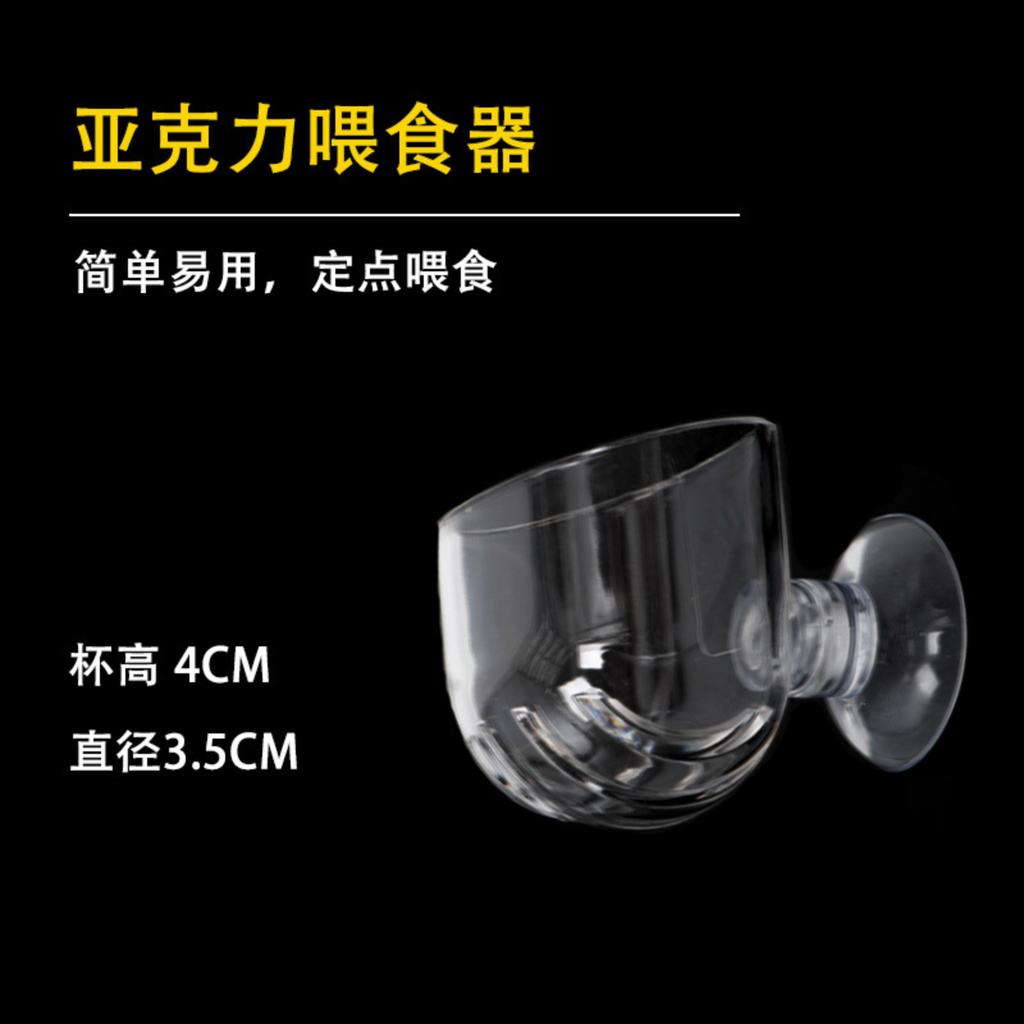Acrylic Aquarium Feeding Cup Small Size with Suction Cup for Fish Shrimp Worm Feeding and Aquatic Plants Bloodworm Dispenser Glass Tank Accessory