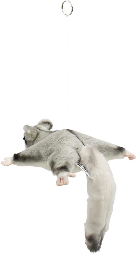 BH4692 HANSA Sugar Glider 35