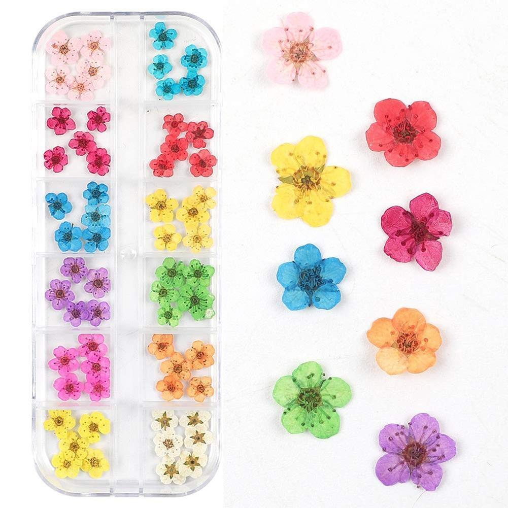 3D Nail Manicure Dried  Flowers 12 Kinds Colorful Realistic Diy Crafts Resin Jewelry Ornaments Phone Cases Invitation Cards Decor