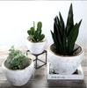 Nordic Style Extra-Large Ceramic Flower Pot for Indoor/Outdoor Use - Ideal for Money Tree, Pothos, and Creative Bonsai.