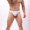 Sexy Underwear Men Briefs Male Panties Briefs Bikini Low Waist Underpants Men's Lingerie