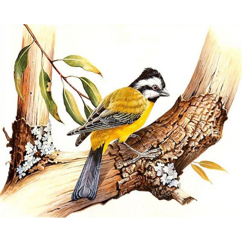 5d Full Diamond Painting Birds Mosaic Diamond Embroidery Creative Gift  Wall Paintings