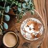 6Pcs Cute Wooden Cat Coaster, Cartoon Heat Insulation Mats for Table, Non Slip Drink Coasters for Coffee Cups