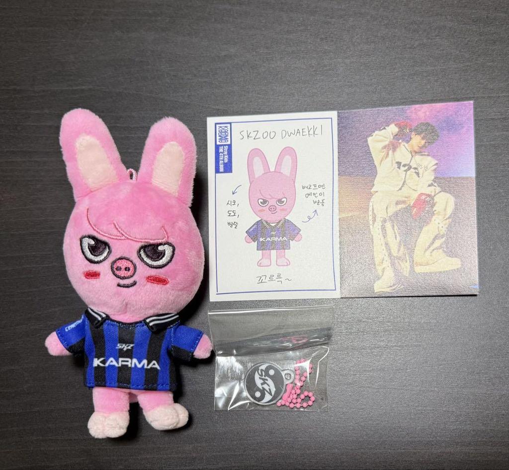 [USED] Straykids KARMA SKZOO Ver. Changbin Set