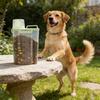 Transparent Plastic Pet Food Storage Box With Measuring Cup And Secure Handles Great For Travel and Home Indoor Use