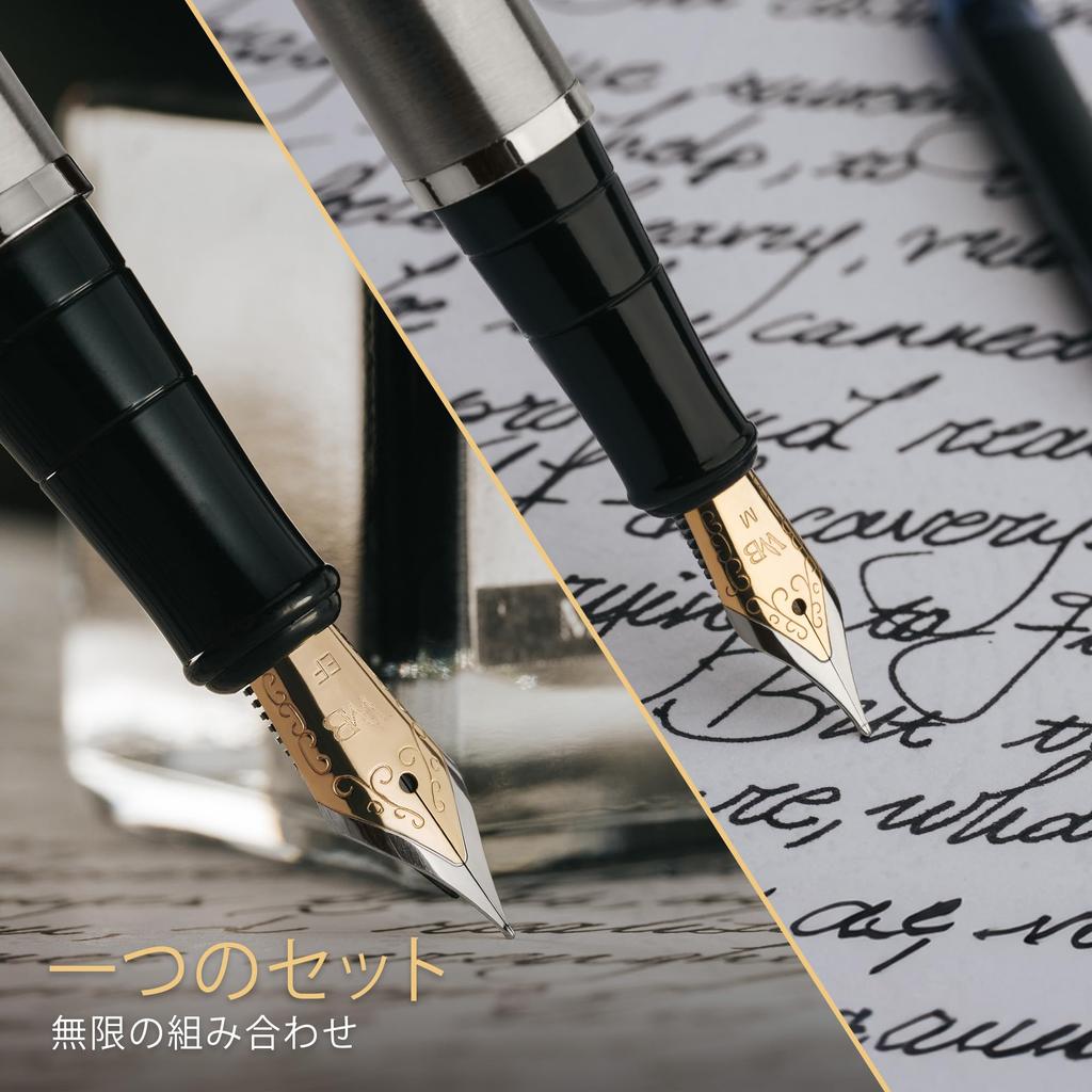 Wordsworth Black Fountain Pen Set with 18K Gold Medium and Extra Fine 25ML Black Ink 6 Ink Ink Refill Gift Pen Gift for Men and Women & Nibs, Bottle,