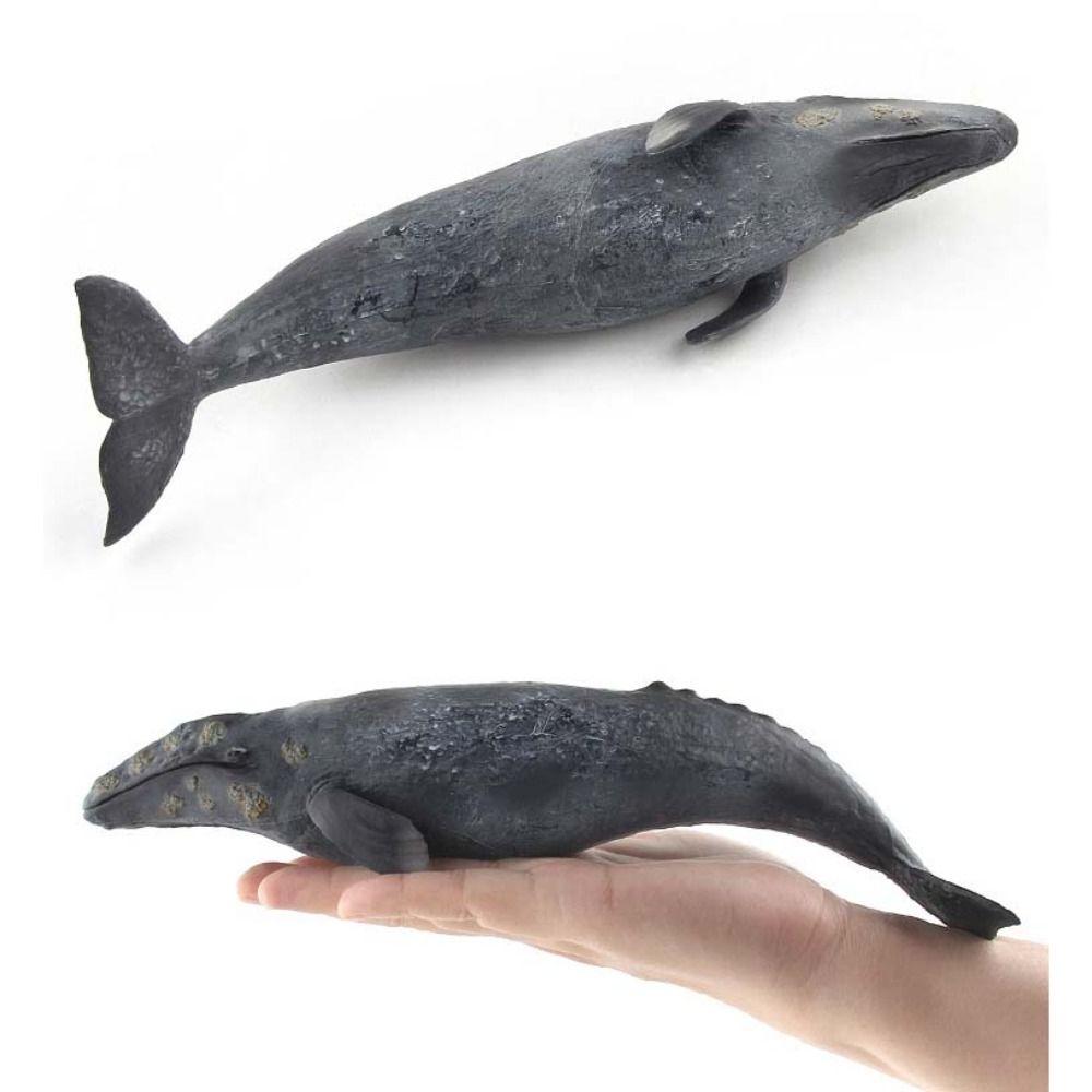 Ocean Animals Whale Figurines Simulation Sea Life Figure Collection Marine Animal Model  Home Decor