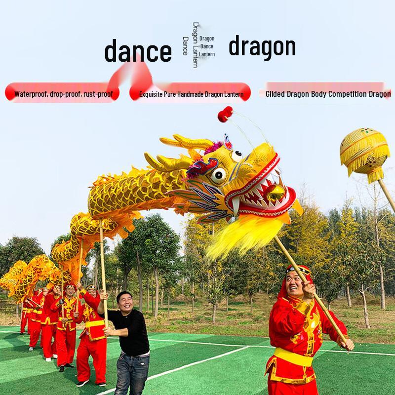 9-Section Chinese Dragon Dance Prop with 10 Costumes