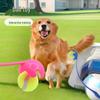 Hundeerziehung Tennisstock Spielzeug für draußen