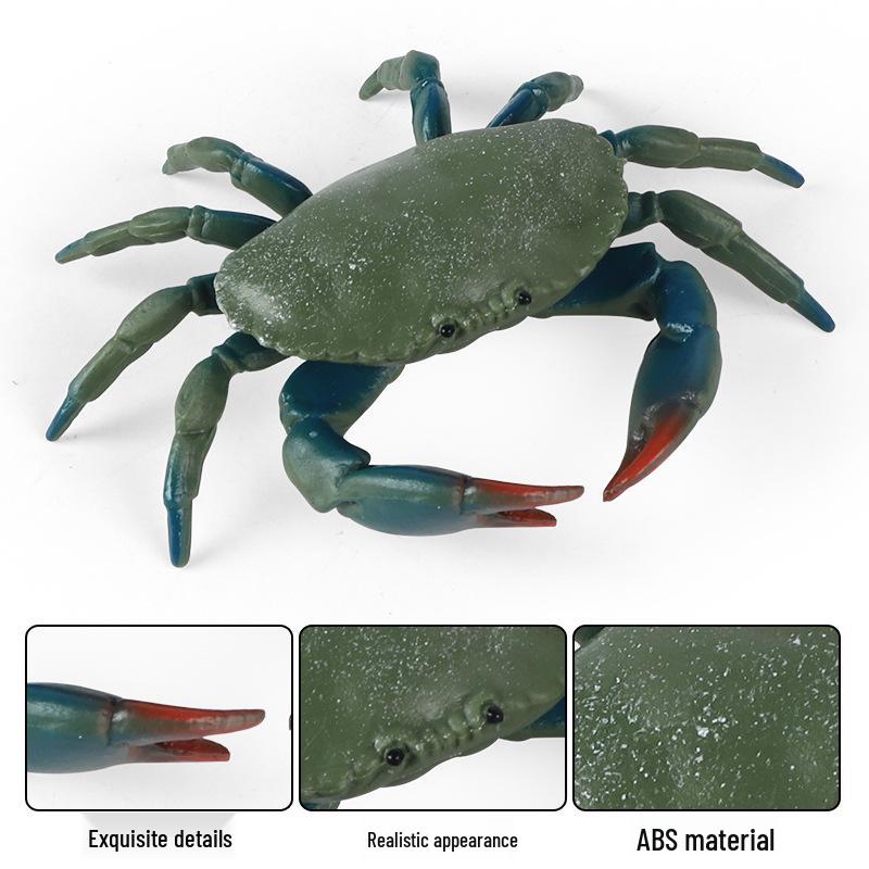 Kids' King Crab Cognitive Simulation Toy Model