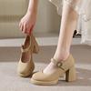 Retro versatile high heels women's 2025 spring new fashion Mary Jane French word with thick heel platform single shoes