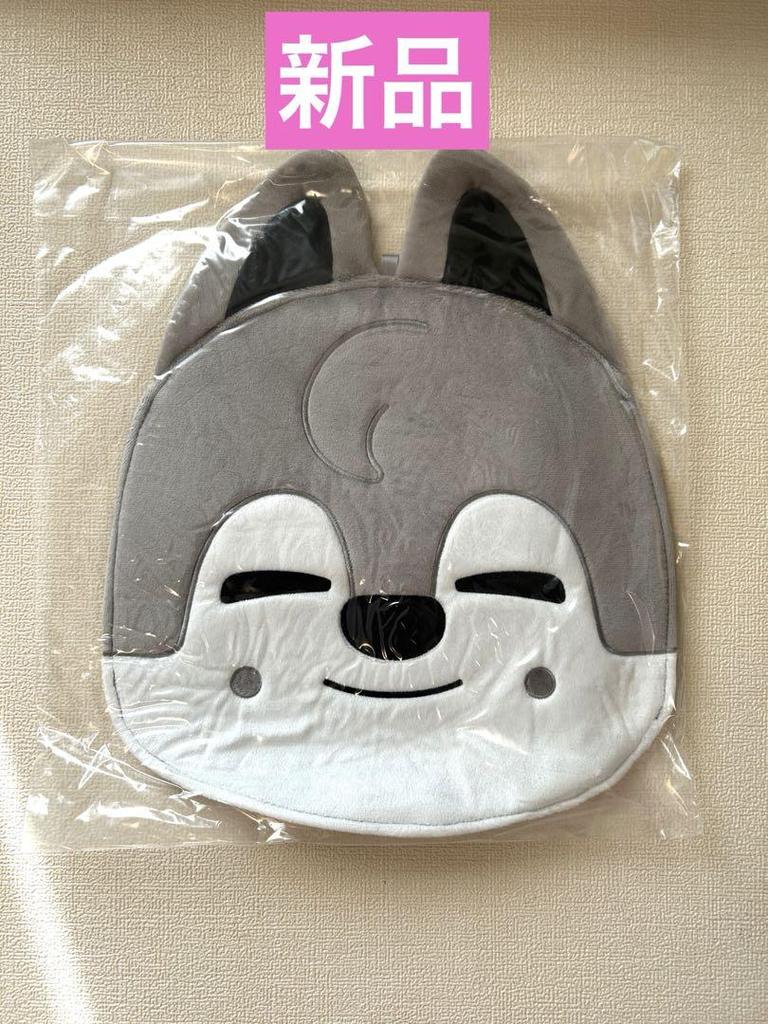 [USED] Wolfchan fan case fan cover Bangchan Stray Kids