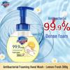 Safeguard White Tea Scent Antibacterial Foam Hand Wash