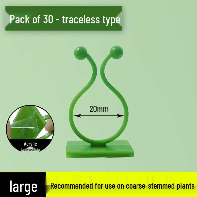 Pothos Climbing Clips: Rose Green Plant Wall Hooks for Vines