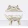 Human Skeleton Anatomical Model Temporal Bone Model Teaching Aid Human Ethmoid Bone Model for Science Class