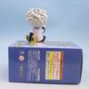 Wersja Q Hunter×Hunter Anime Urocza Figurka Killua Zoldyck Figurka Lalka w Pozycji Siedzącej Model Akcji Kolekcjonerska Dekoracja Samochodowa Zabawka