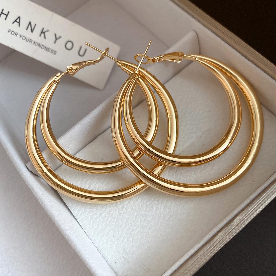 

European and American silver needle metal double-layer round earrings, individual cold wind temperament earrings, light luxury high-end earrings