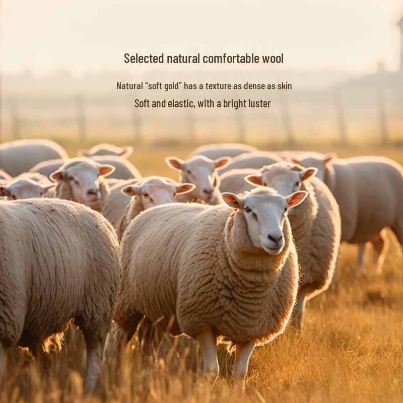 

Мужское полупальто K-Boxing NFWN3325 из 100% шерсти XL