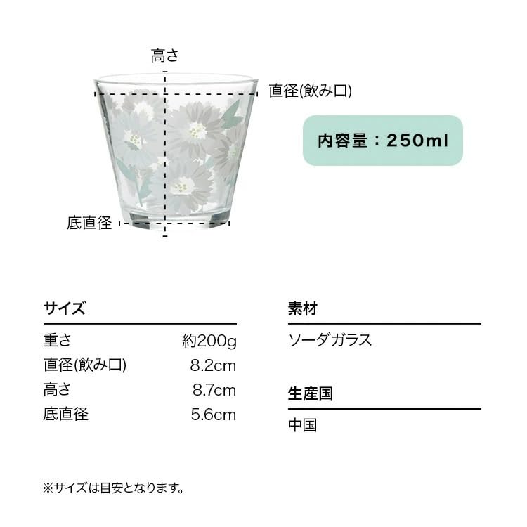 Wpc. Patterns Camellia Navy Glass Tumbler, 240ml Capacity, W125-9088-204, Cute and Stylish, Cool and Stylish, Perfect as a Housewarming Gift