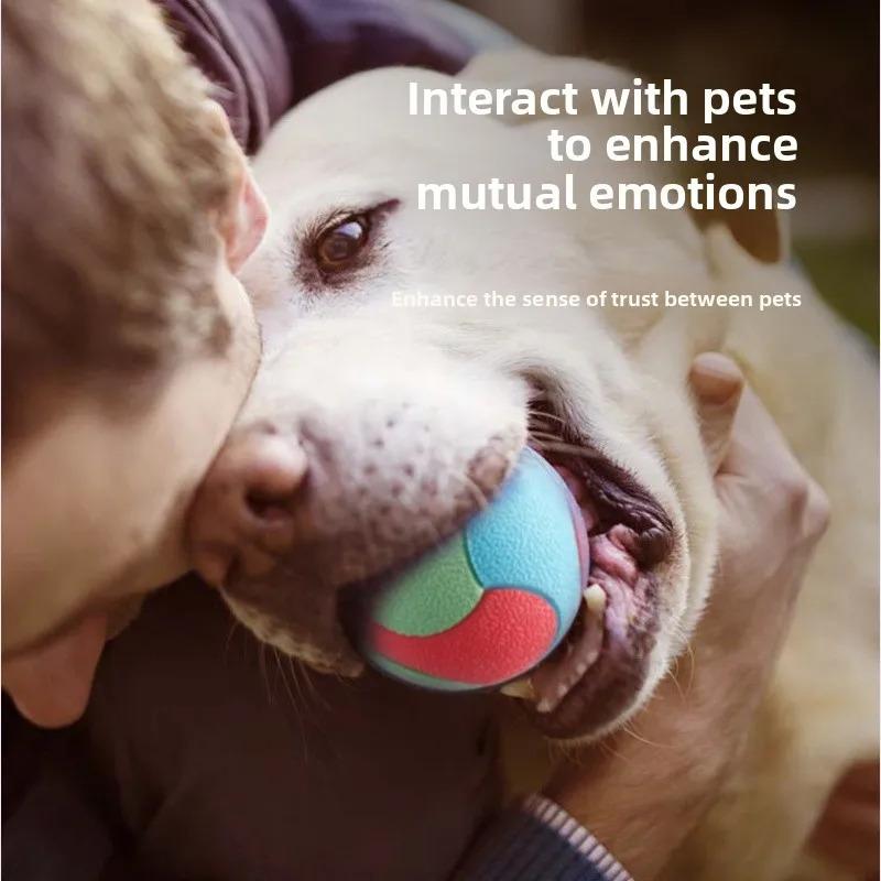 Bite Resistant Bouncy Ball Dog Toy for Small Medium Dogs Interactive Teeth Cleaning Chew Ball for Puppy Training