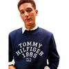 Tommy Hilfiger Arch Hoodie